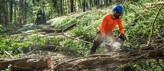 L’application du taux réduit de TVA à 10 % sur les travaux forestiers réalisés au profit d’exploitants agricoles est prorogée de deux ans.