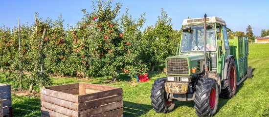 Au titre de la campagne 2019-2020, les producteurs de pommes à cidre peuvent, comme les années précédentes, bénéficier d’une aide à la plantation de vergers. Son montant a été porté à 1 514 € par hectare.