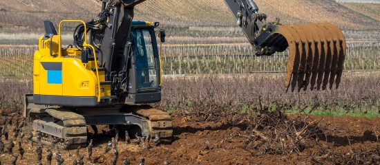Les viticulteurs n’auront bientôt plus à déclarer leurs projets d’arrachage ou de plantation de vignes.