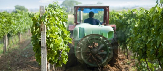 Les entreprises vitivinicoles ont jusqu’au 14 février prochain pour déposer un dossier de demande d’aide au financement d’investissements destinés à moderniser leurs installations et à améliorer leur compétitivité.