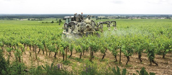 Dans un récent rapport, l’Inrae s’est intéressé à l’évaluation économique des pratiques de désherbage alternatives au glyphosate en viticulture.