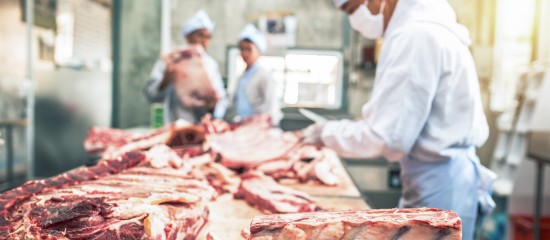 Depuis le 7 août dernier, plus aucune restriction sanitaire ne pèse sur l’exportation de viande française de bœuf vers le Japon.