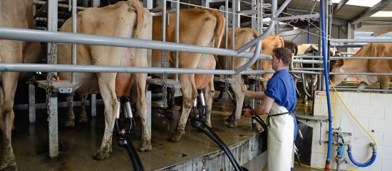 Des précisions viennent d’être apportées au contenu des contrats conclus pour la vente de lait de vache cru entre producteurs et acheteurs.