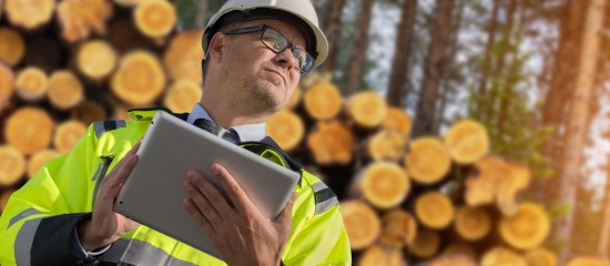 L’aide exceptionnelle à l’exploitation et à la commercialisation des bois qui ont été colonisés par des scolytes est prolongée jusqu’au 31 mai 2022.