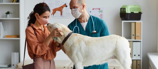 Alors que la crise sanitaire a débuté il y a un an en France, une enquête réalisée par le cabinet de conseil CM Research auprès de 5 000 vétérinaires à travers le monde s’intéresse à son impact sur le secteur vétérinaire.