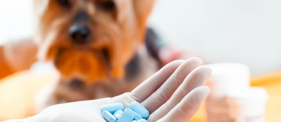 Rapport sur la préservation des antibiotiques