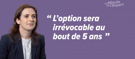 Les entrepreneurs individuels pourront bientôt opter pour l’impôt sur les sociétés sans avoir à modifier leur statut juridique.