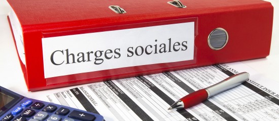 La réduction générale des cotisations sociales patronales s’applique sur les salaires inférieurs à 1,6 fois le Smic annuel.