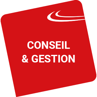 Conseil gestion - CINQPLUS